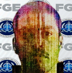 Imagen de descarga de reporte