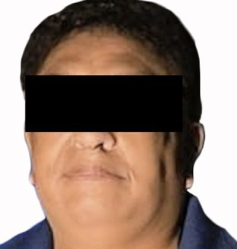 Imagen de descarga de reporte