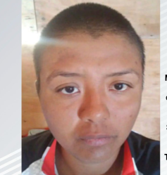 Imagen de descarga de reporte