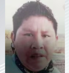 Imagen de descarga de reporte