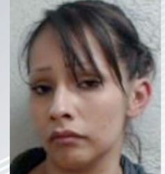 Imagen de descarga de reporte