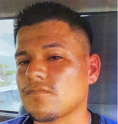 Imagen de descarga de reporte