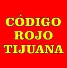 Imagen de descarga de reporte